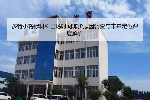多特小将穆科科出场时间减少原因调查与未来定位深度解析 - leyu
